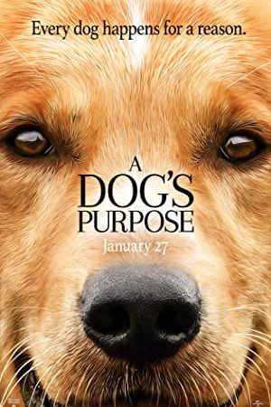 A Dog’s Purpose 2017