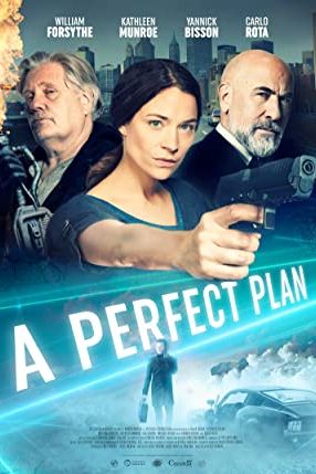 A Perfect Plan 2020