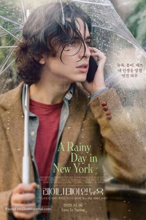 A Rainy Day in New York 2019