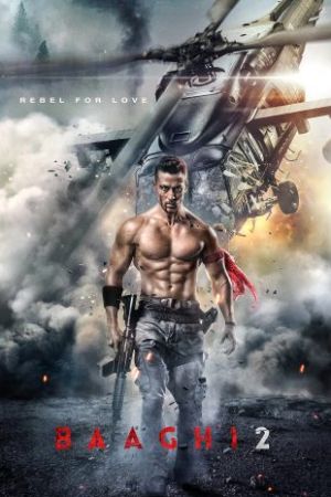 Baaghi 2 2018