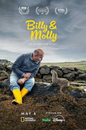 Billy & Molly: An Otter Love Story 2024