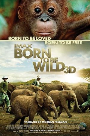 Born to Be Wild 2011