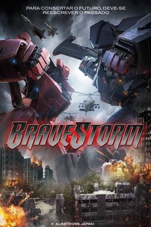 BraveStorm 2017