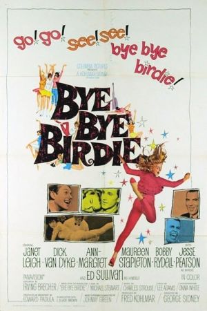 Bye Bye Birdie 1963
