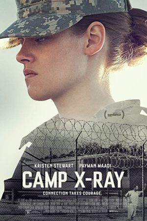 Camp X-Ray 2014