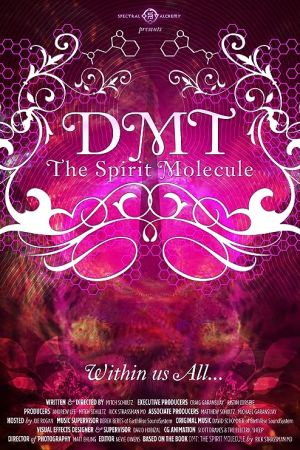 DMT: The Spirit Molecule 2010