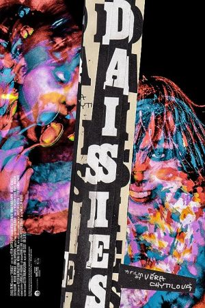 Daisies 1966