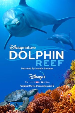 Dolphin Reef 2018