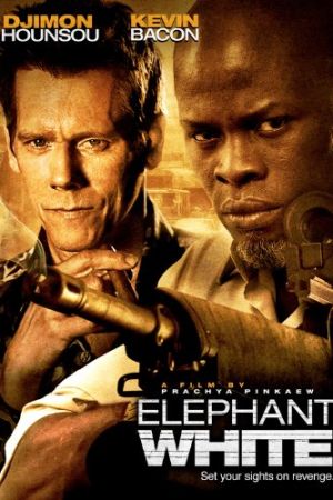 Elephant White 2011