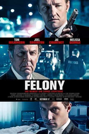 Felony 2013