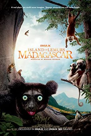 Island of Lemurs: Madagascar 2014