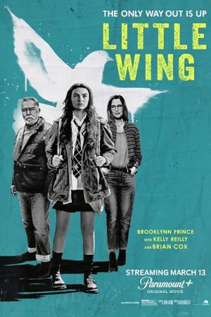 Little Wing 2024