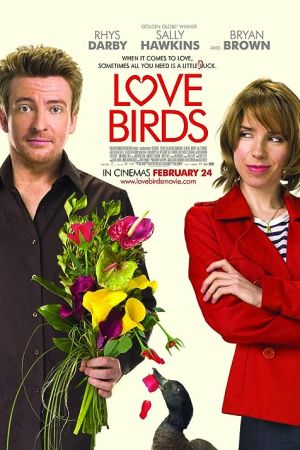 Love Birds 2011