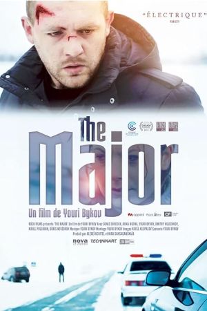 Mayor 2013