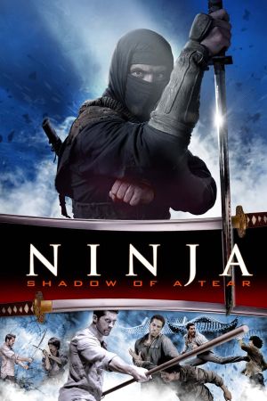 Ninja: Shadow of a Tear 2013