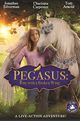 Pegasus: Pony with a Broken Wing 2019