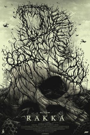 Rakka 2017