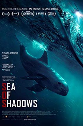 Sea of Shadows 2019