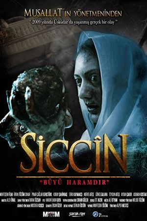 Siccin 2014