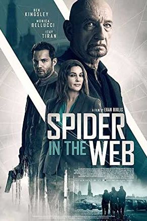 Spider in the Web 2019