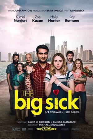 The Big Sick 2017