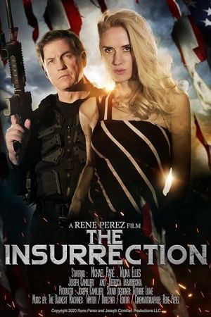 The Insurrection 2020
