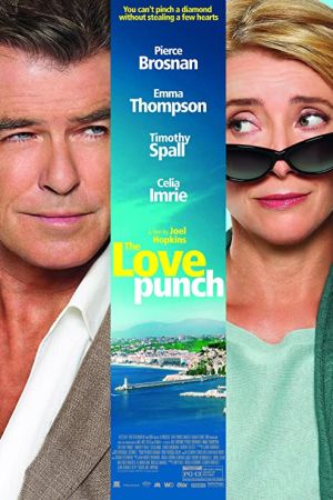 The Love Punch 2013