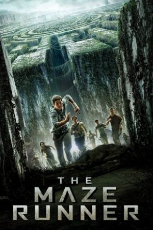 The Maze Runner 2014