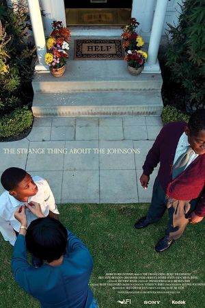 The Strange Thing About the Johnsons 2011