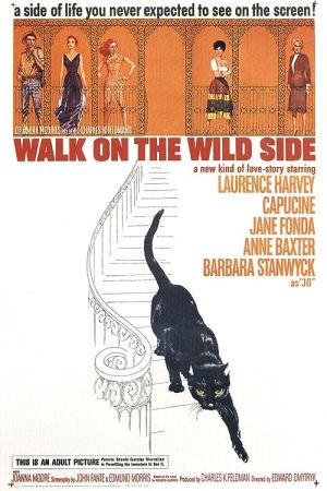 Walk on the Wild Side 1962