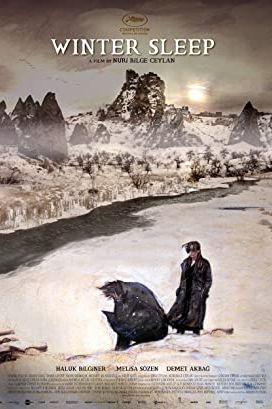 Winter Sleep 2014